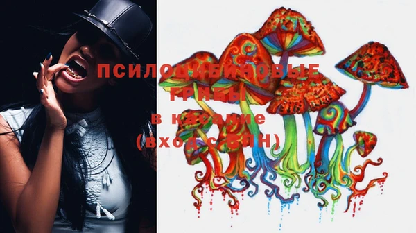 прущая мука Алексин