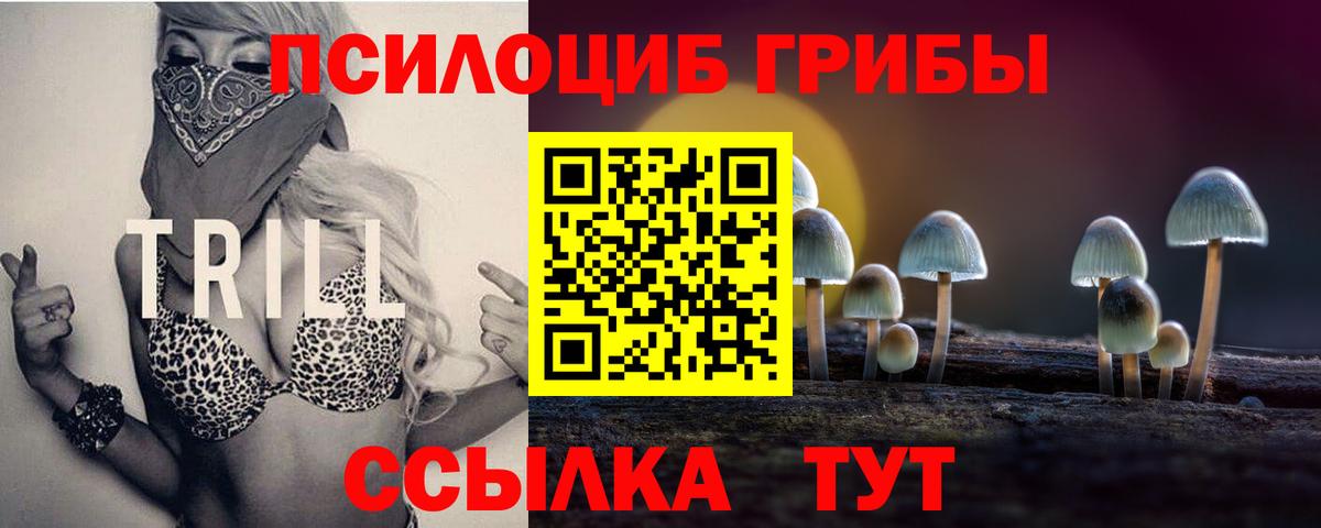Новороссийск  Галлюциногенные грибы мицелий  Вход с VPN 